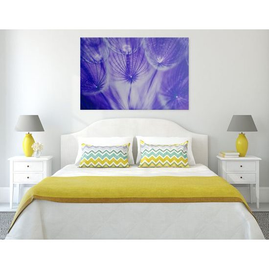 Obraz abstraktná púpava v fialovom prevedení