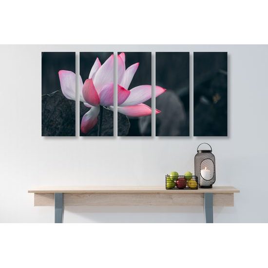 5-dielny obraz nádherny kvet