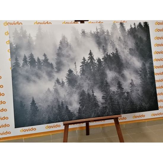 Obraz čiernobiela hora v rannej hmle