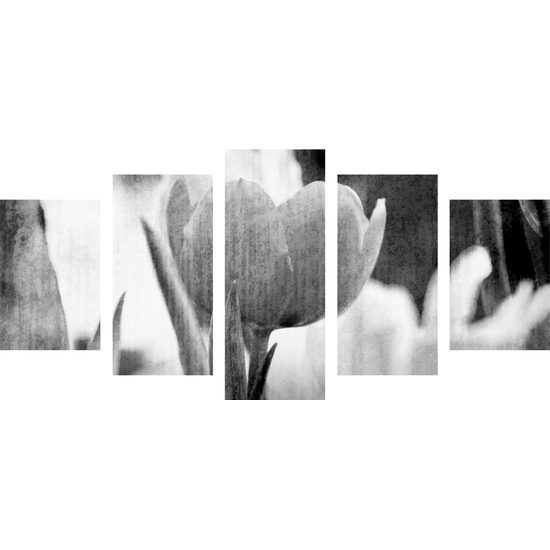 5-dielny obraz divý tulipán vo vintage štýle v čiernobielom prevedení