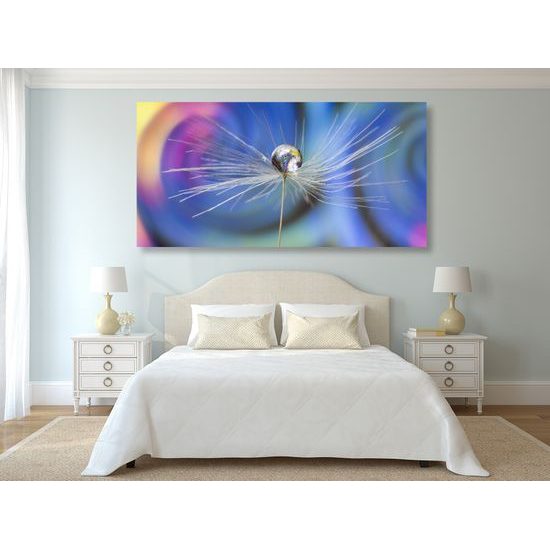 Obraz kvapka s zaujímavým pozadím