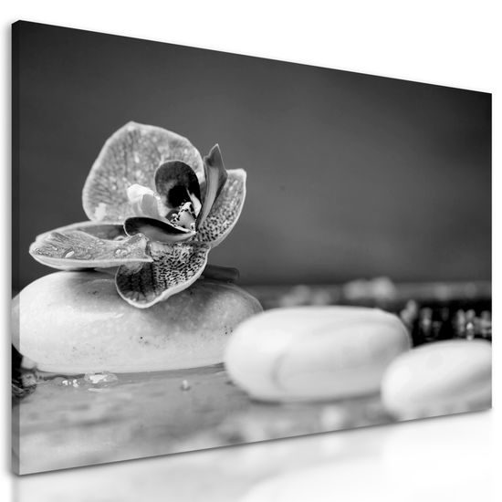 Obraz zaujímavé biele Zen kamene v čiernobielom prevedení