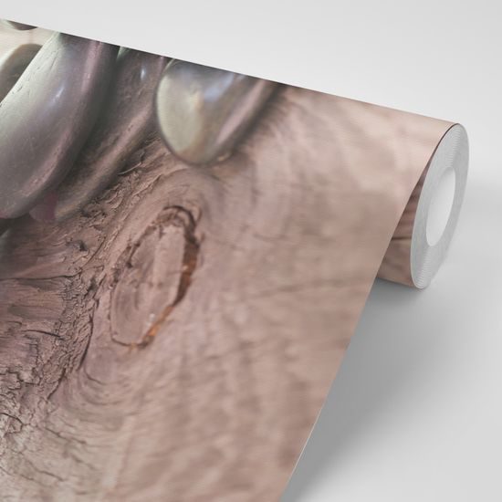 Samolepiaca tapeta masážne kamene s orchideou na dreve