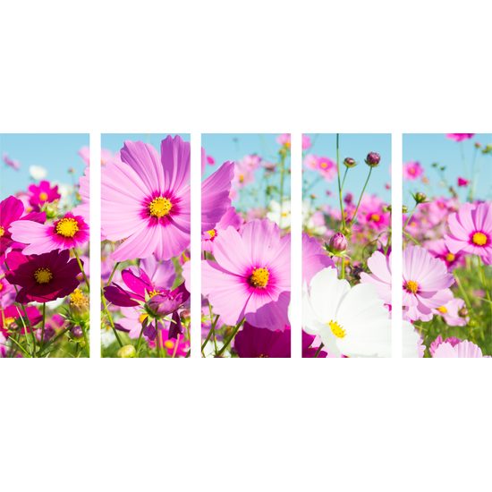 5-dielny obraz rozkvitnutá lúka
