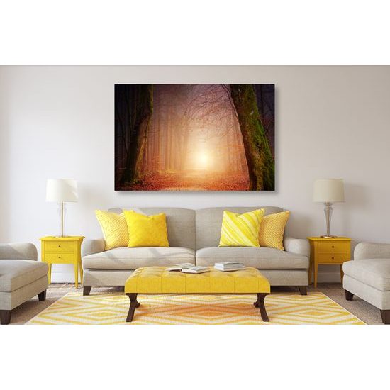 Obraz východ slnka uprostred lesa