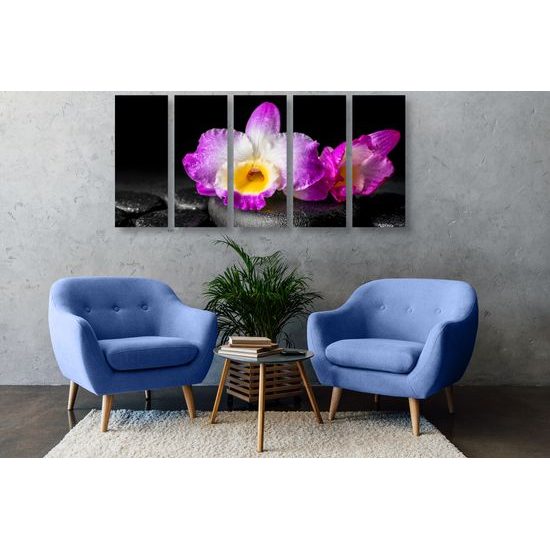 5-dielny obraz krásny kvet orchidei