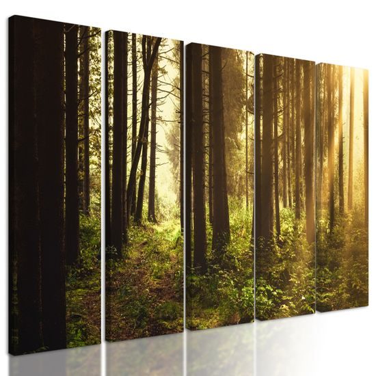 5-dielny obraz slnko predierajúce sa medzi korunami stromov