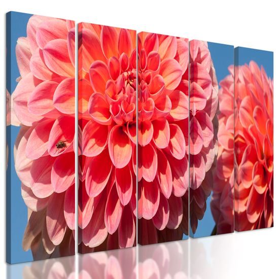 5-dielny obraz romantická ružová dália