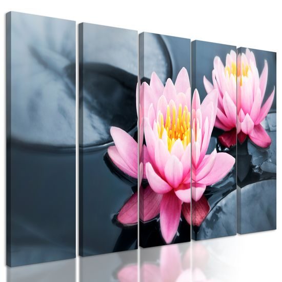 5-dielny obraz lekno v rieke