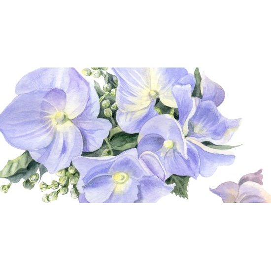 Obraz zátišie kvetov v nežných farbách