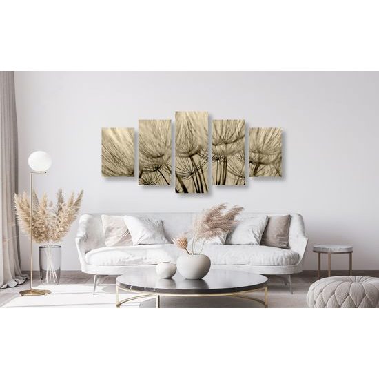 5-dielny obraz presný detail púpavy v sépiovom prevedení