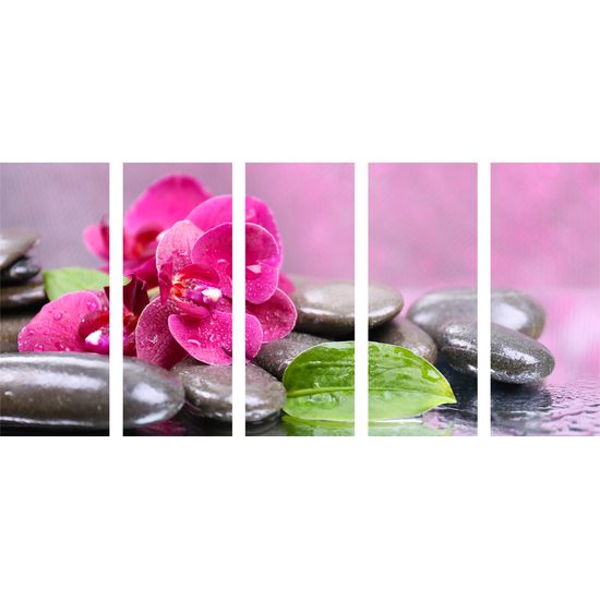 5-dielny obraz ukľudnujúca orchidea