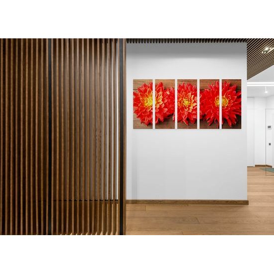 5-dielny obraz kvety nežnej dálie na drevenom pozadí