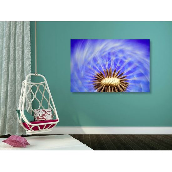 Obraz čarovná púpava