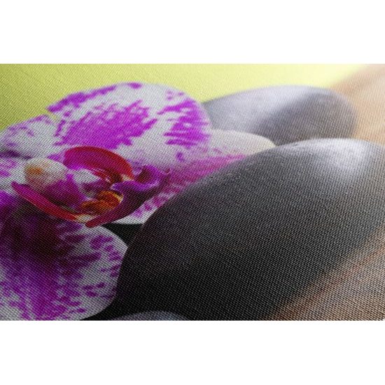 Obraz zaujímavo sfarbená orchidea a Zen kamene
