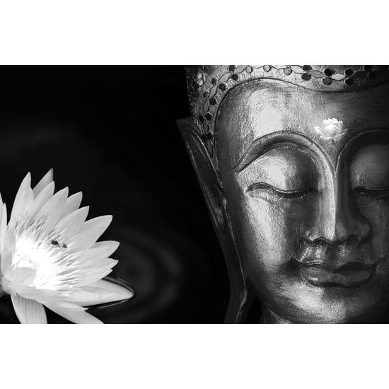 Obraz Budhové splynutie s prírodou v čiernobielom prevedení
