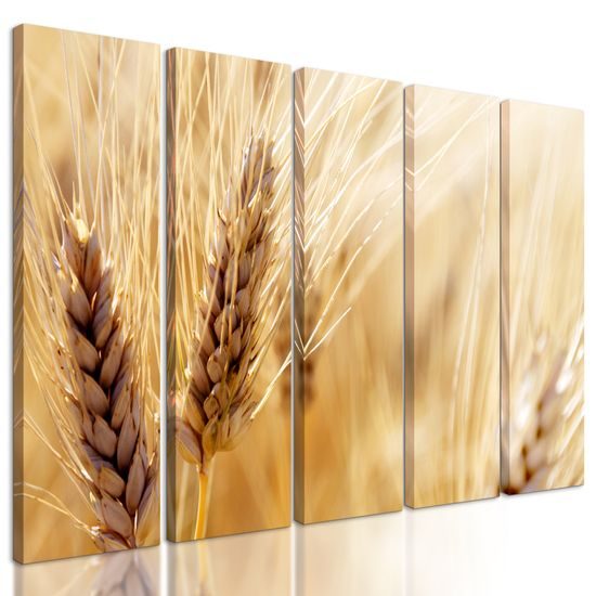 5-dielny obraz detail pšenice