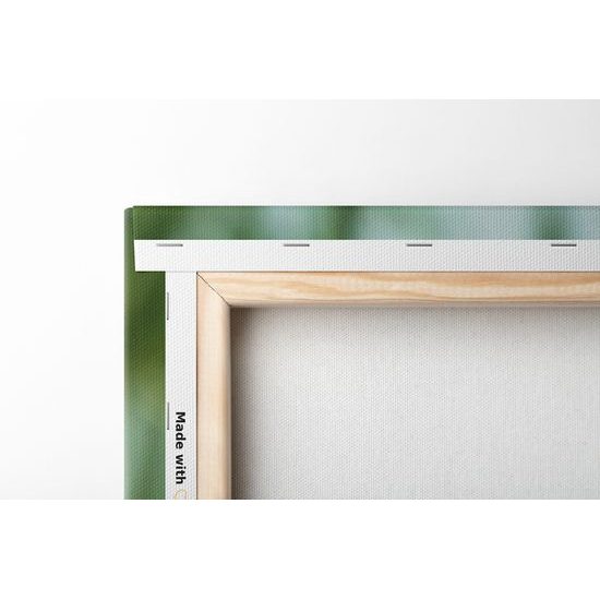 Obraz nádherný mak