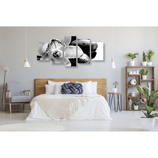 5-dielny obraz čiernobiely kvet orchidei