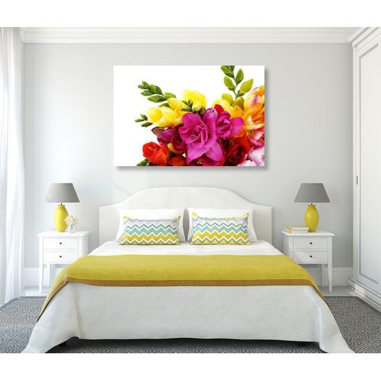 Obraz pestrofarebná kytica pôvabných frézií