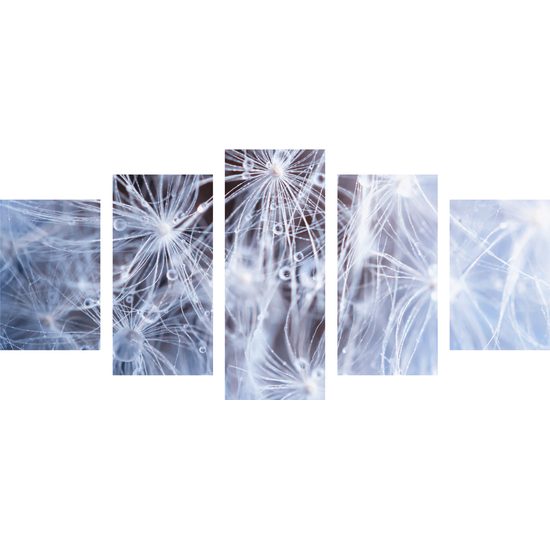 5-dielny obraz detail púpavy