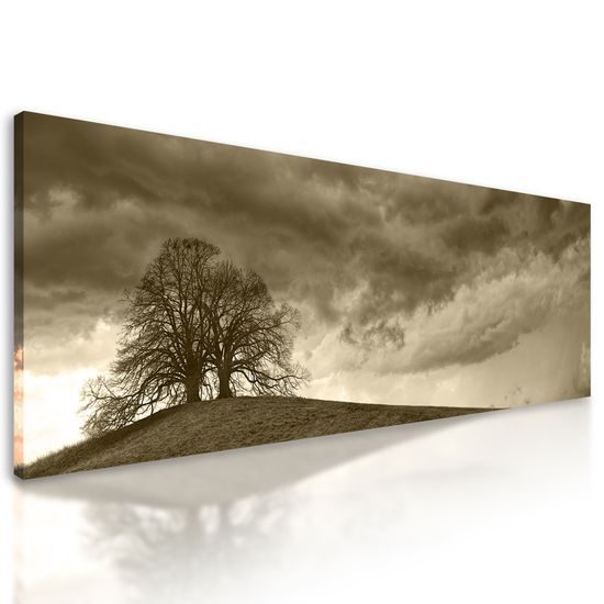 Obraz stromy na vrchole kopca v sépiovom prevedení