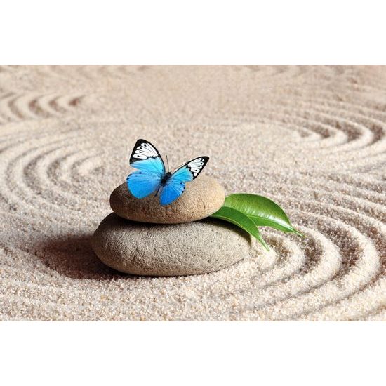 Samolepiaca fototapeta krásny motýľ v zen záhrade