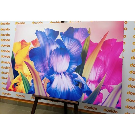 Obraz nádherné pestrofarebné kvety