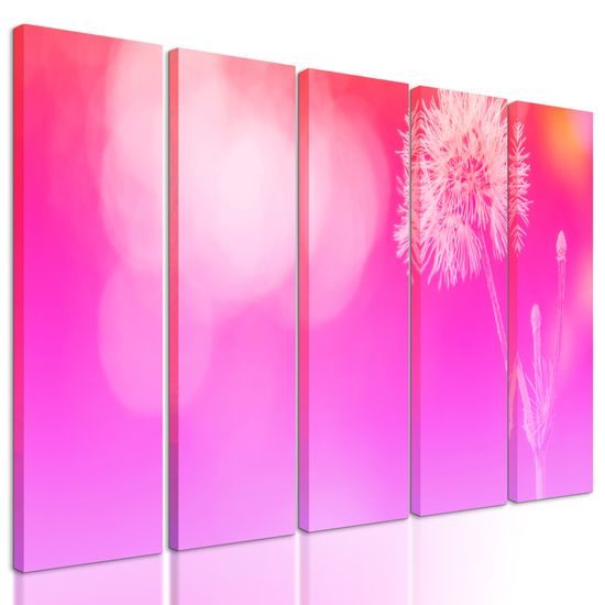 5-dielny obraz púpava v ružovo bielych farbách