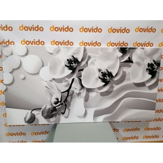 Obraz jemné znázornenie orchidei v čiernobielom prevedení