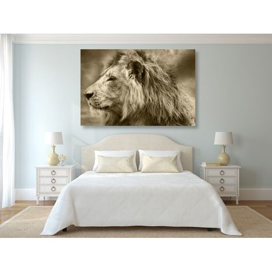 Obraz nádherný lev v sépiovom prevedení