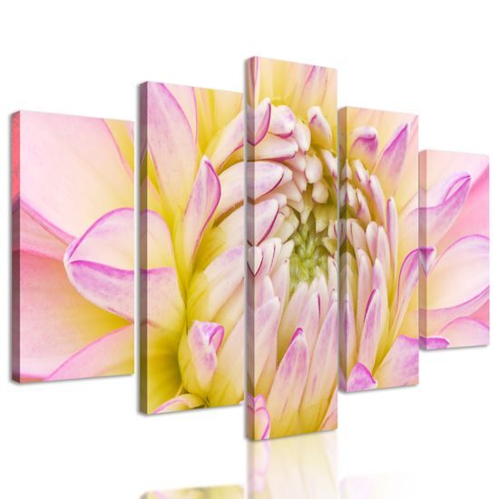 5-dielny obraz perfektný detail na kvet dálie