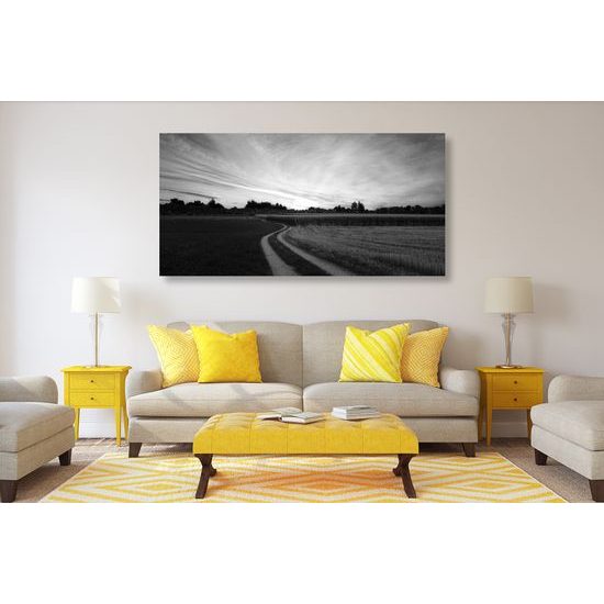 Obraz zapadajúce slnko nad krajinou v čiernobielom prevedení