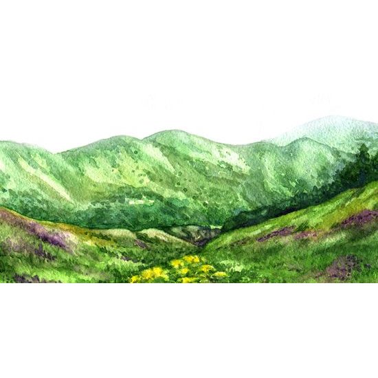 Obraz zelené údolie