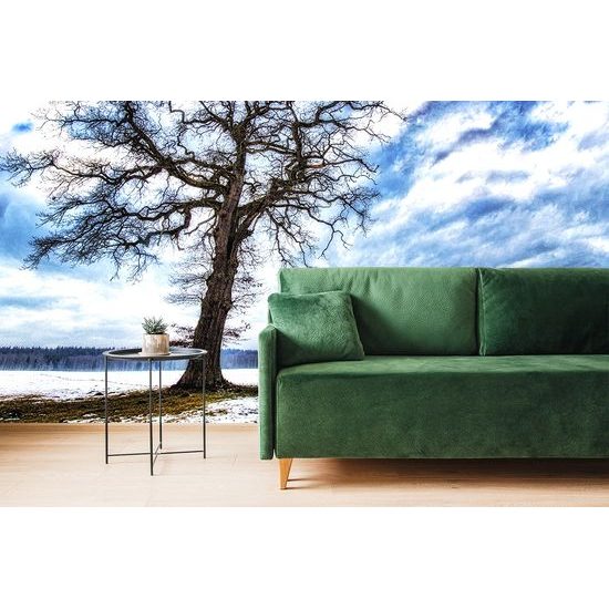 Samolepiaca fototapeta strom so snehovým popraškom