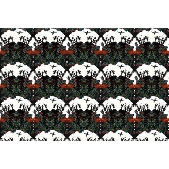 Tapeta magická lúka na bielom pozadí