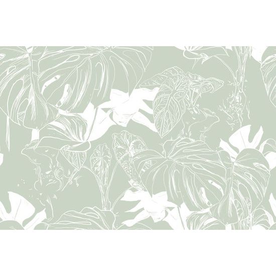 Tapeta elegantná monstera v zelených tónoch