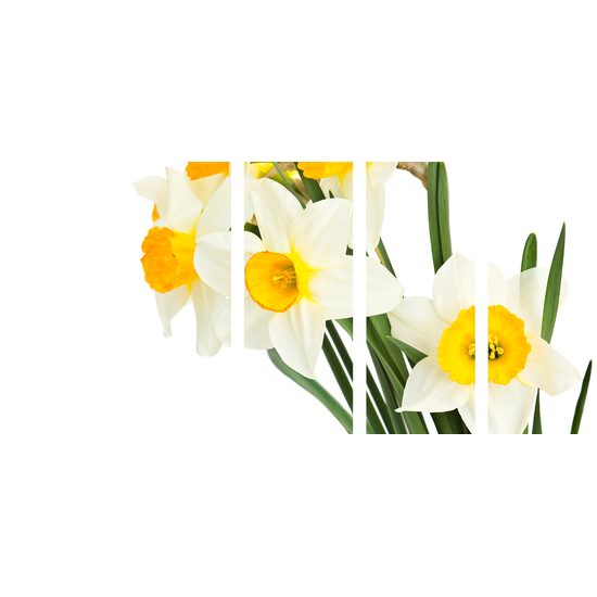 5-dielny obraz jemné jarné narcisy