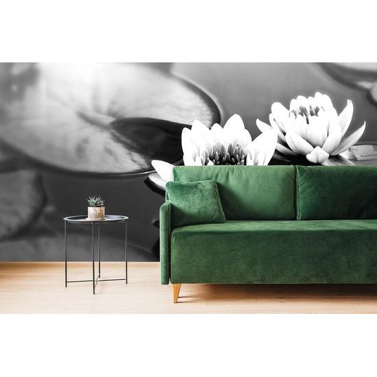 Samolepiaca tapeta lotosový kvet na hladine v čiernobielom prevedení