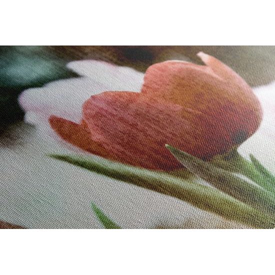 Obraz tulipán vo vintage štýle