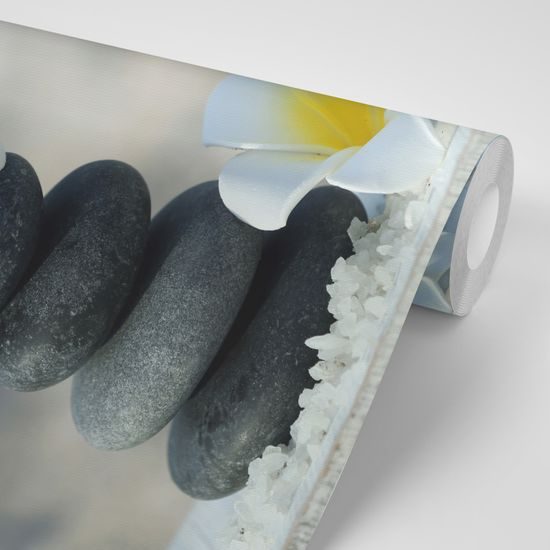 Fototapeta krásne kvety plumérie s kameňmi