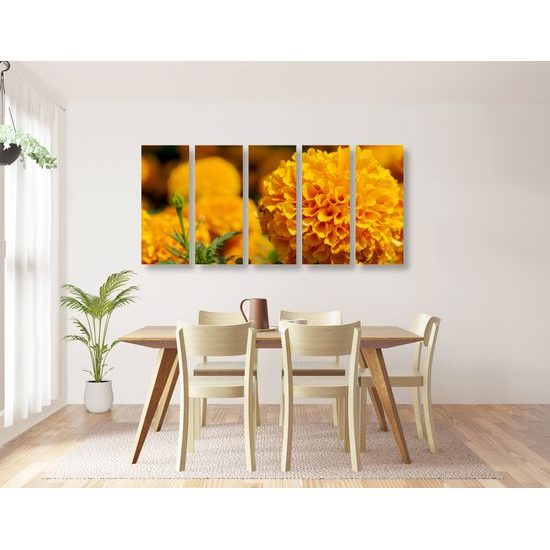 5-dielny obraz oranžový nechtík