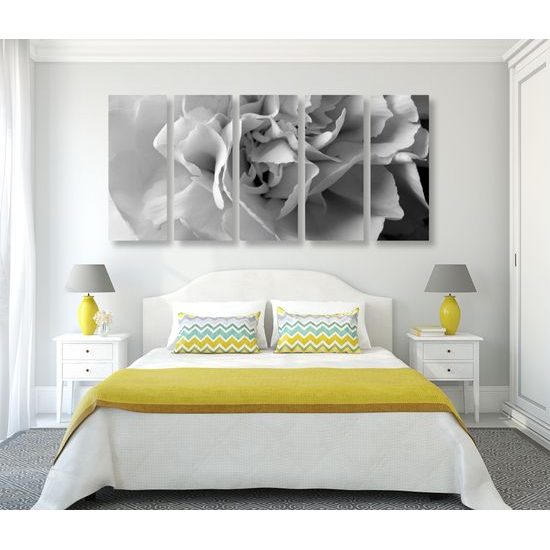 5-dielny obraz detail na kvet karafiátu v čiernobielom prevedení