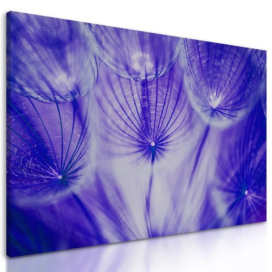 Obraz abstraktná púpava v fialovom prevedení
