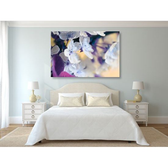 Obraz nádherné kvety čerešne