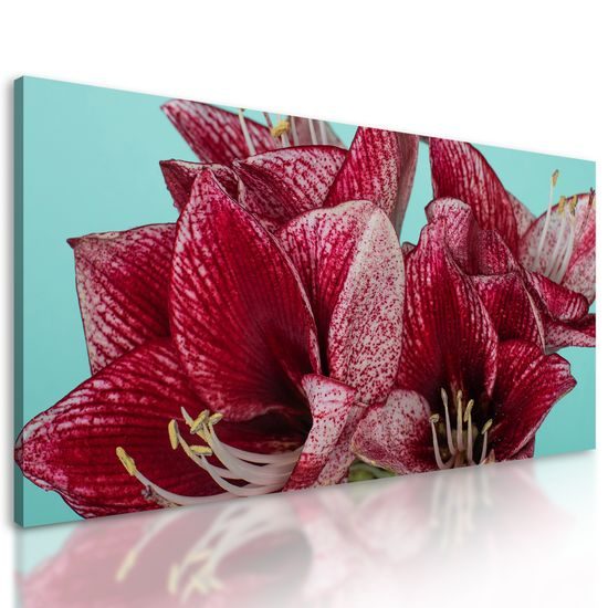 Obraz jedinečné kvety na tyrkysovom pozadí