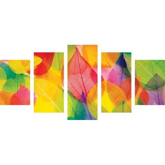5-dielny obraz pestrofarebné jessenné listy