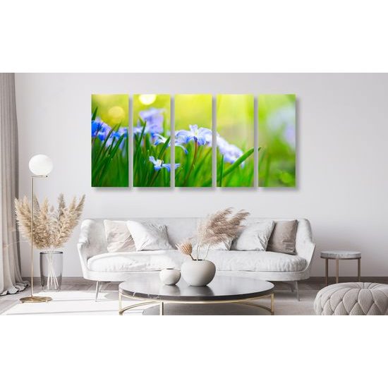 5-dielny obraz lúčne kvety na zelenej tráve