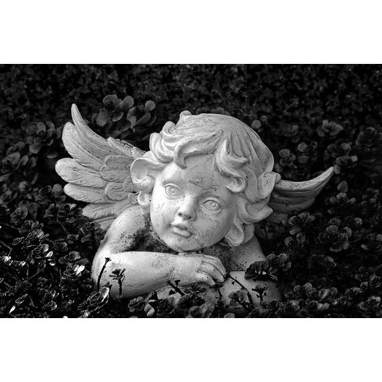 Obraz záhradný anjelik v čiernobielom prevedení