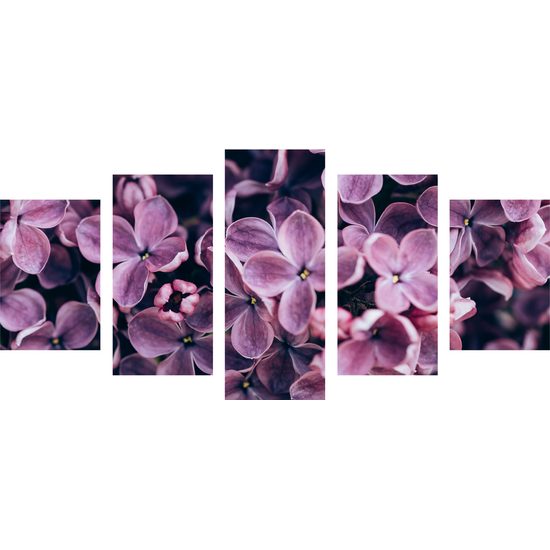 5-dielny obraz zaujímavé kvety vo vintage prevedení